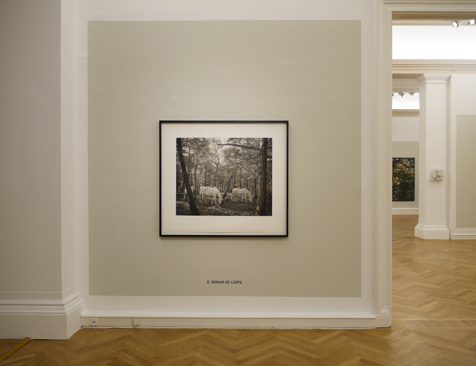 ausstellung elger esser aetas