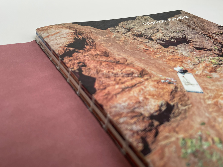 Ulrike Arnold – The One World Painting, Schweizer Broschur